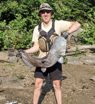 Monster catfish alert!